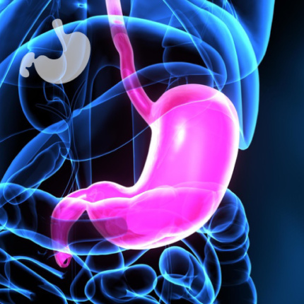 Gastromed, ZOZ Gastromed Lublin, Grupa Scanmed, model żołądka