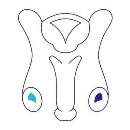 Urolog Lublin, ZOZ Gastromed Lublin, Grupa Scanmed, piktogram - jądra i prącie